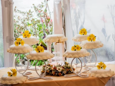 PANARTE matrimonio 4